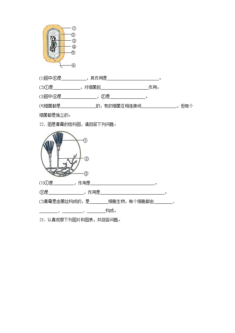 吉林省四平市铁东区2021-2022学年八年级上学期期末生物试题(word版含答案)第3页