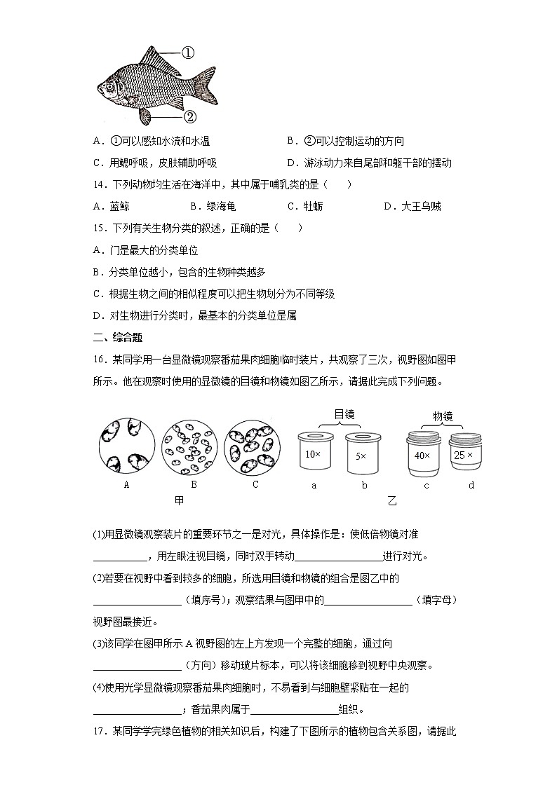 河北省邢台市威县第三中学2021-2022学年七年级上学期期末生物试题(word版含答案)03