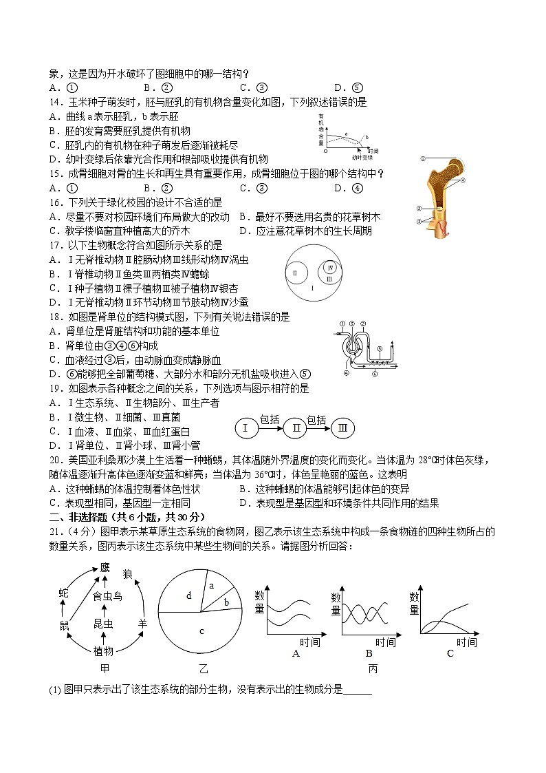 2022年吉林省长春市八年级中考生物模拟试卷一(word版含答案)02