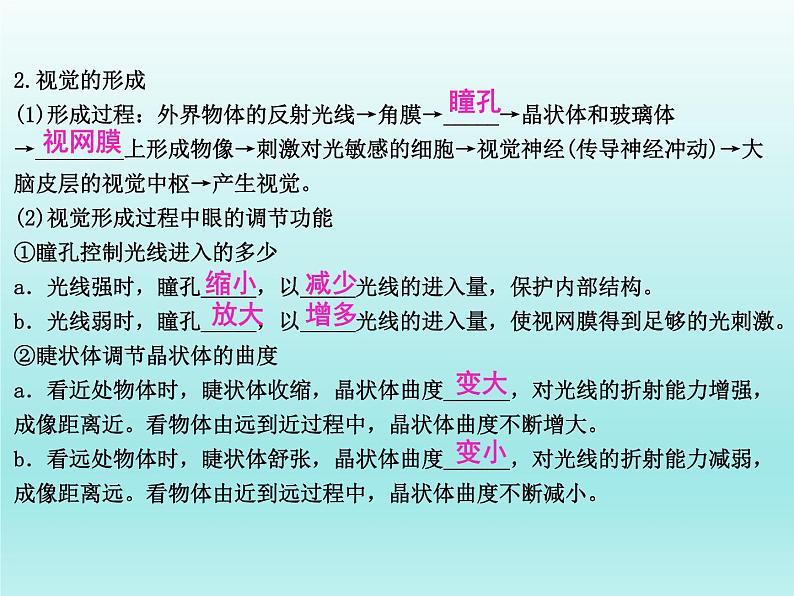 2022年中考生物一轮复习课件：人体生命活动的调节第6页