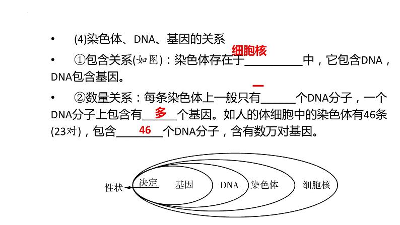 2022中考一轮第七单元第二章生物的遗传与变异复习课件第7页