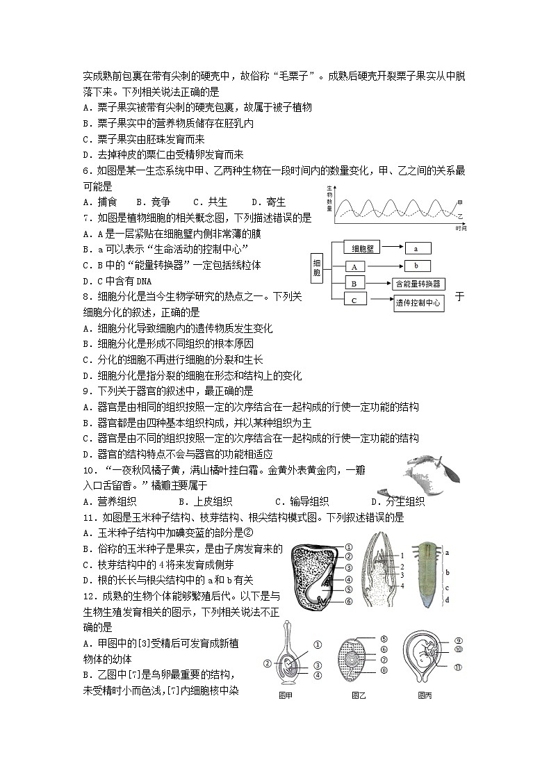 2021年山东省威海乳山市（五四制）中考生物模拟试题二第2页