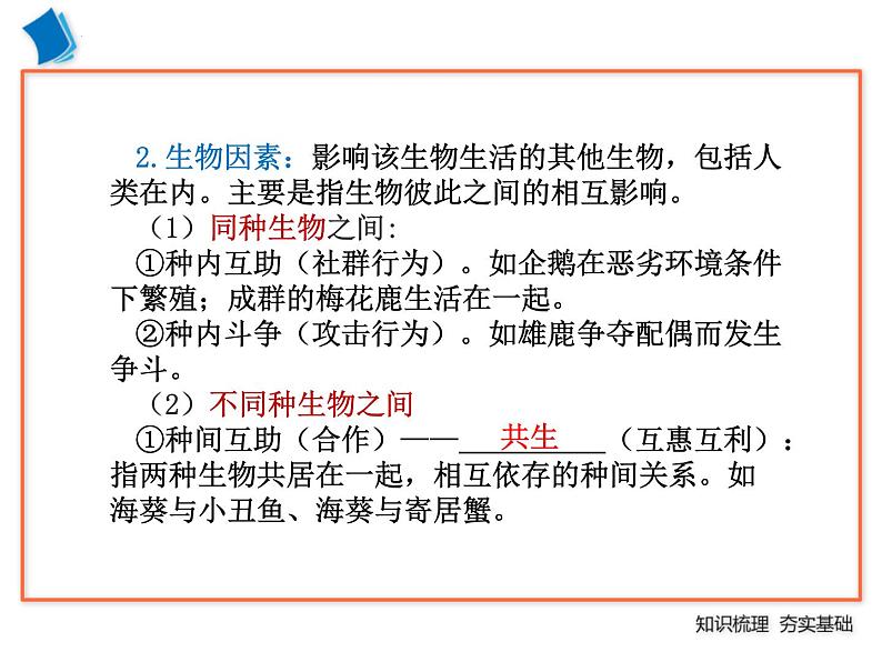 2022年中考复习：专题三生物与环境课件第7页