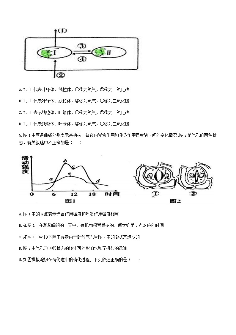 2022年四川省内江市第六中学中考一模生物试题(word版含答案)02