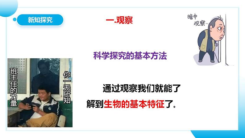 【核心素养目标】人教版 (新课标)初中生物七年级上册1.1.1《生物的特征》课件+教案+同步分层练习（含答案）07