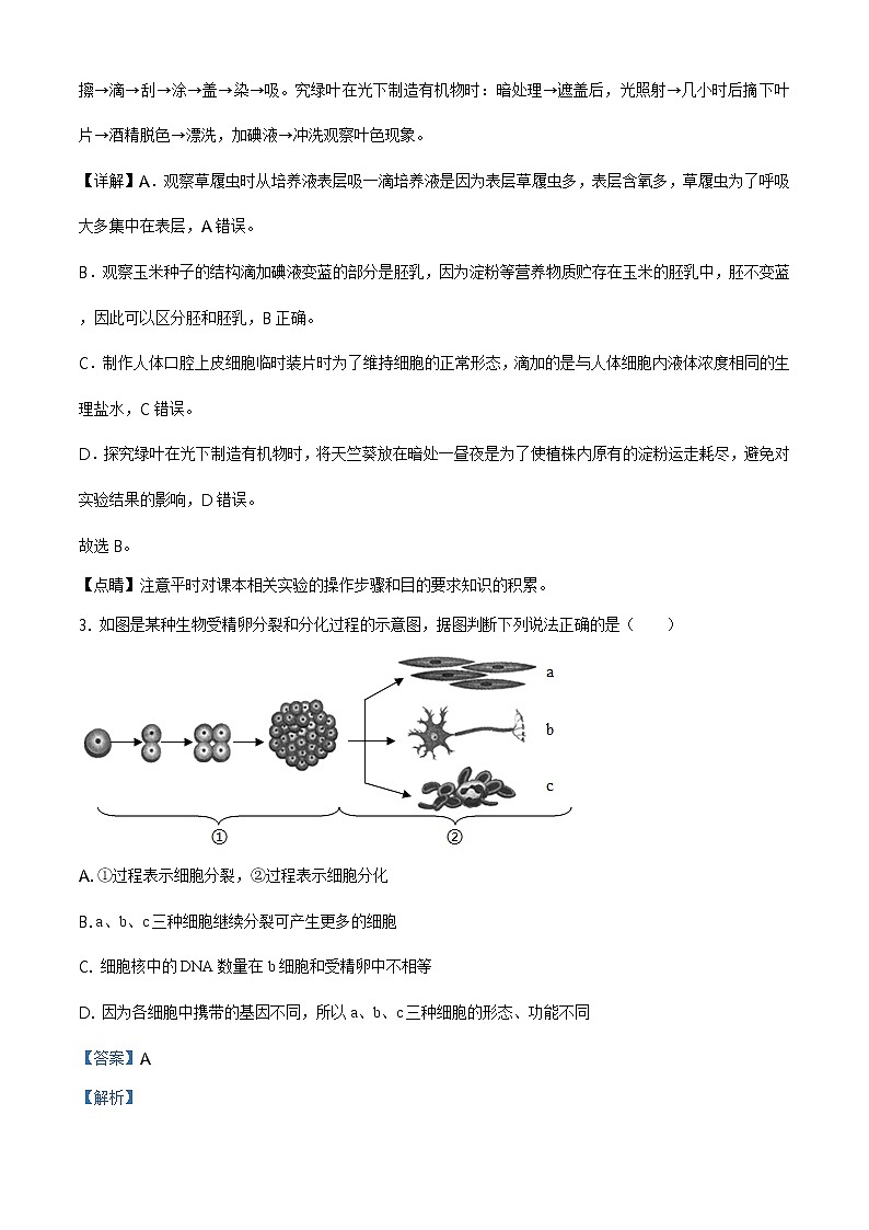 精品解析：2021年山东省淄博市博山区中考二模生物试题（解析版+原卷板）02