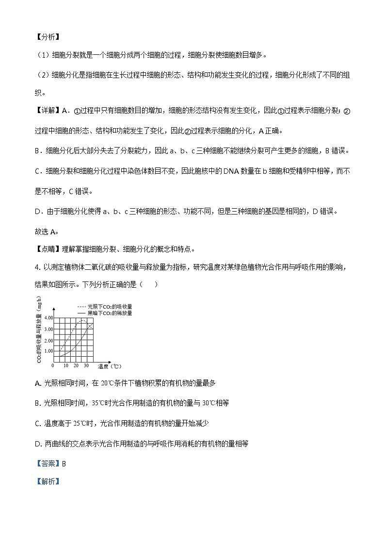 精品解析：2021年山东省淄博市博山区中考二模生物试题（解析版+原卷板）03