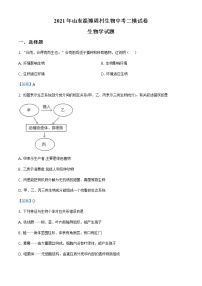 2021年山东省淄博市周村区初中学业水平模拟考试(二模)生物学试题及答案