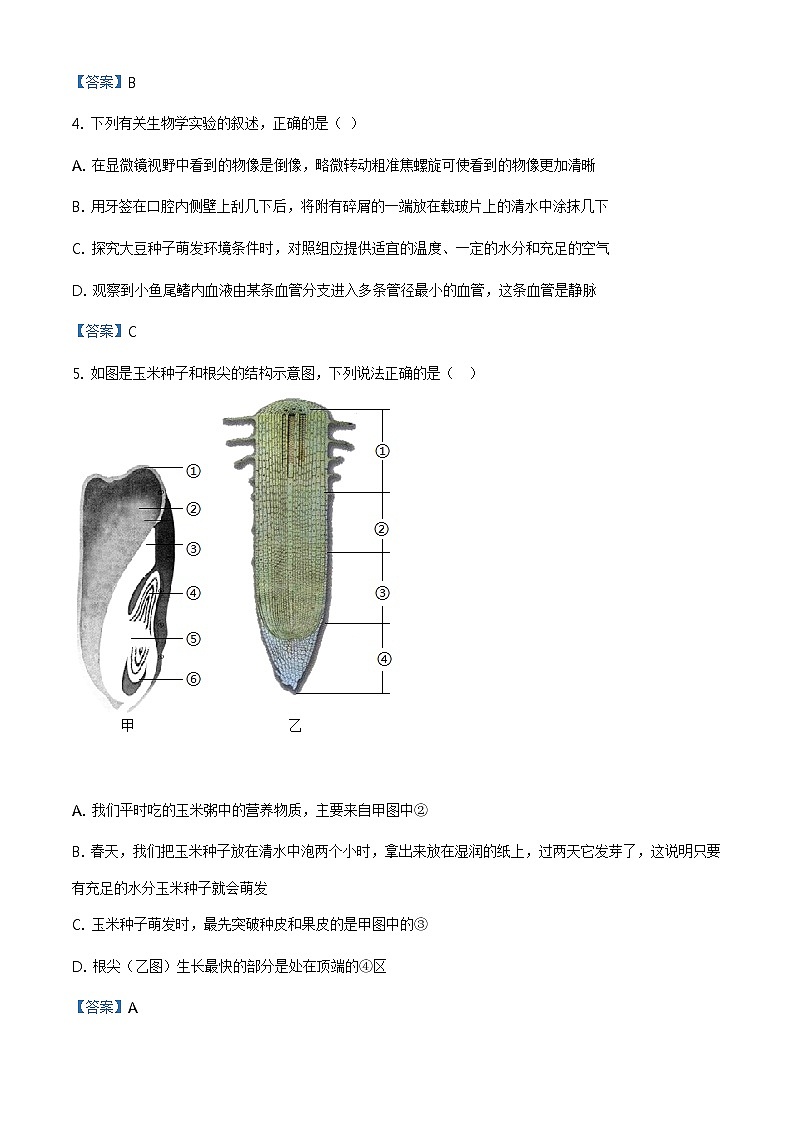 2021年山东省淄博市周村区初中学业水平模拟考试(二模)生物学试题及答案02