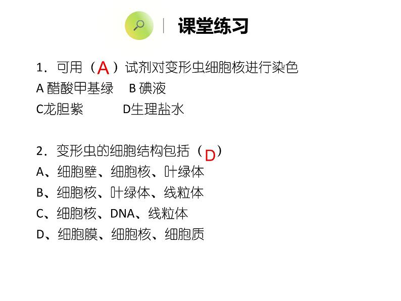 3.2 细胞是生命活动的单位 课件 北师大七年级生物上册07