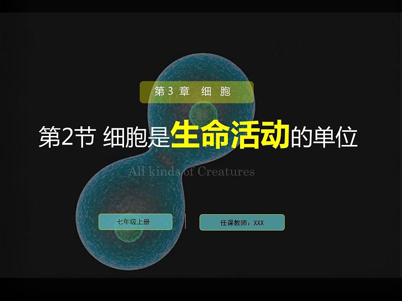 3.3 细胞通过分裂而增殖 课件 北师大七年级生物上册第1页