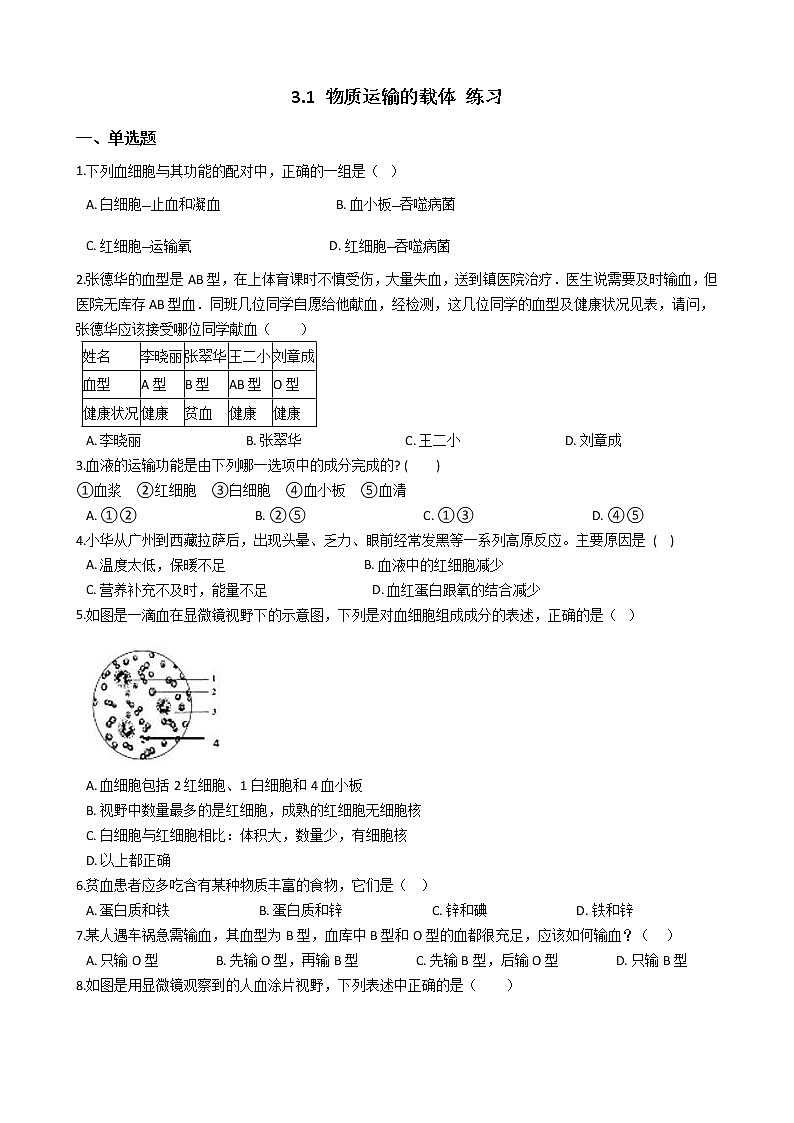 3.1 物质运输的载体 练习第1页