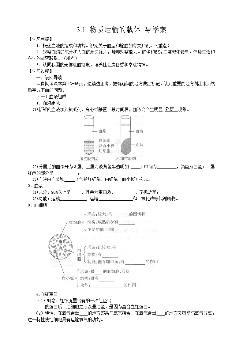3.1 物质运输的载体 导学案第1页