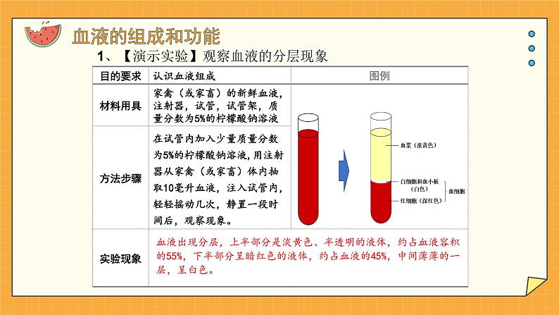 3.1 物质运输的载体 课件第4页