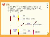 3.1 物质运输的载体（课件+教学设计+练习+学案）