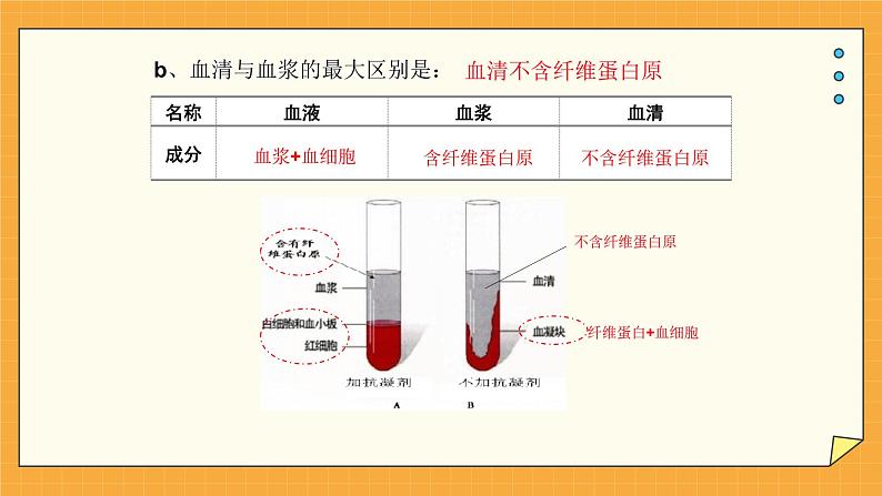 3.1 物质运输的载体 课件第6页