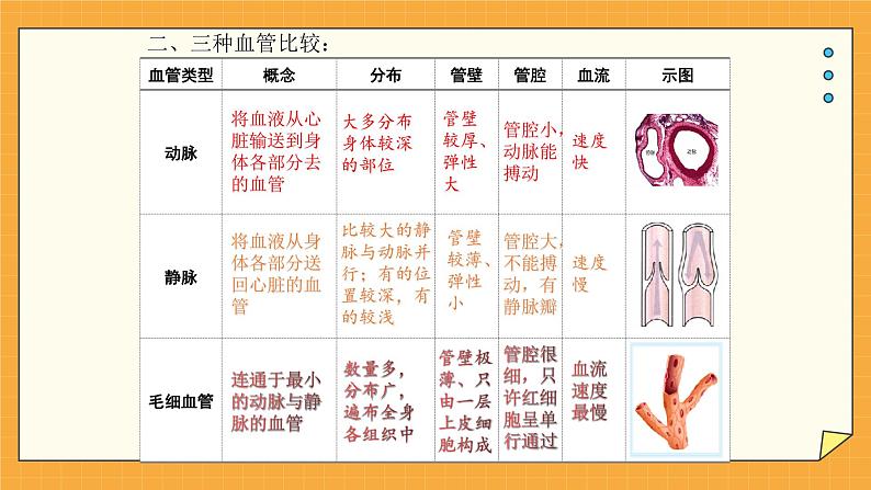 3.2 物质运输的器官（课件+教学设计+练习+学案）06