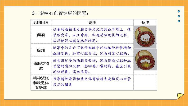 3.4 关注心血管健康（课件+教学设计+练习+学案）07