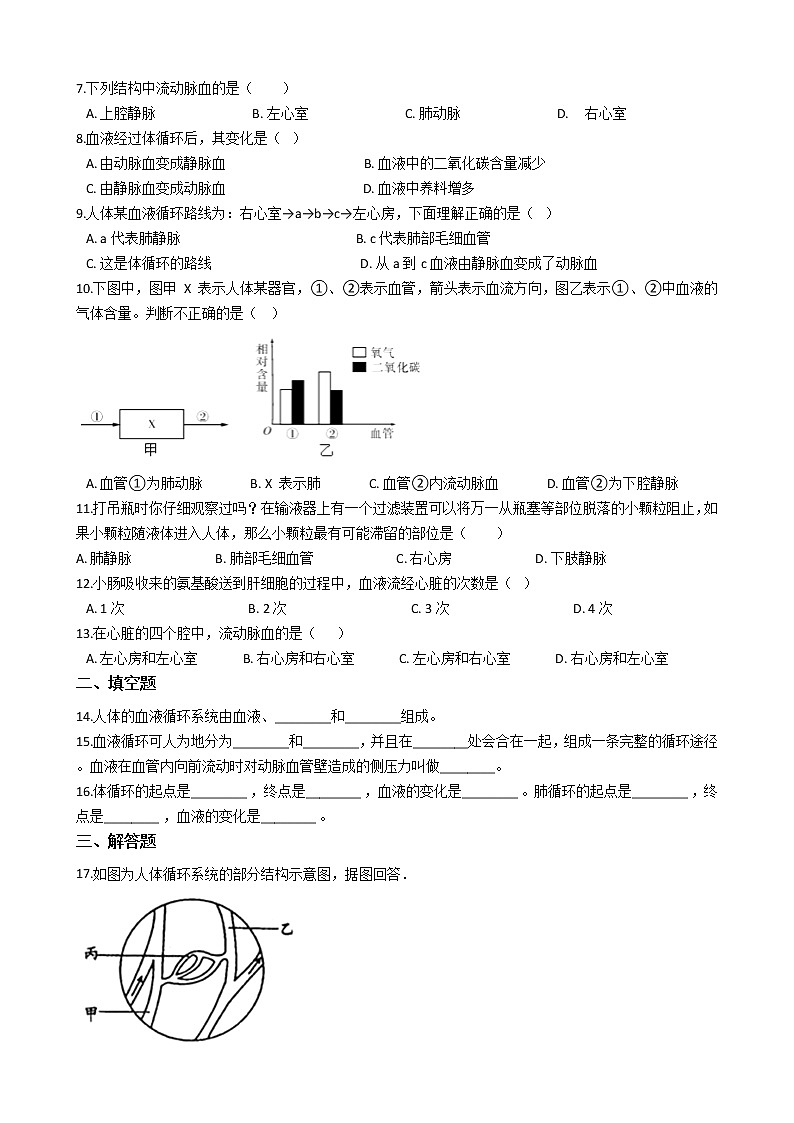 3.3 物质运输的途径（课件+教学设计+练习+学案）02