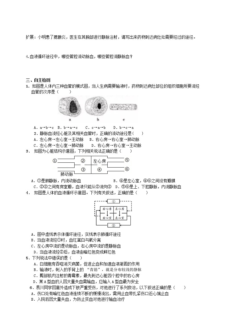 3.3 物质运输的途径（课件+教学设计+练习+学案）02