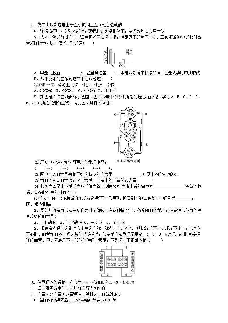 3.3 物质运输的途径（课件+教学设计+练习+学案）03