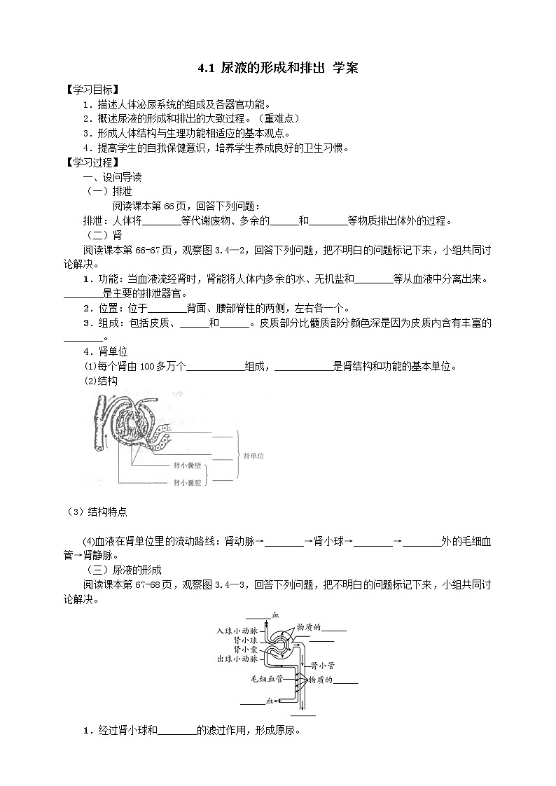 4.1 尿液的形成和排出 学案第1页