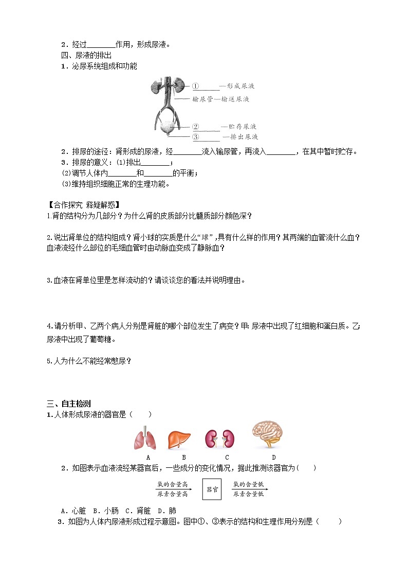 4.1 尿液的形成和排出 学案第2页
