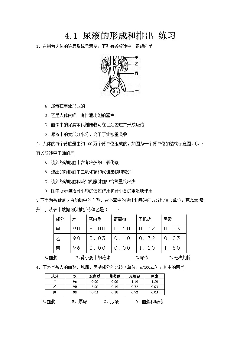 4.1 尿液的形成和排出 练习第1页