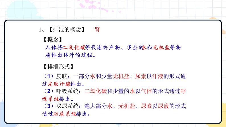 4.1 尿液的形成和排出（课件+教学设计+练习+学案）04