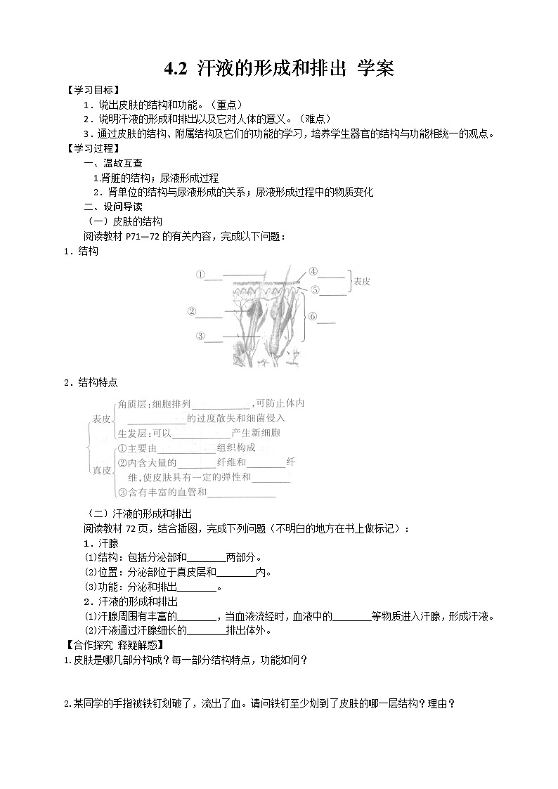 4.2 汗液的形成和排出（课件+教学设计+练习+学案）01