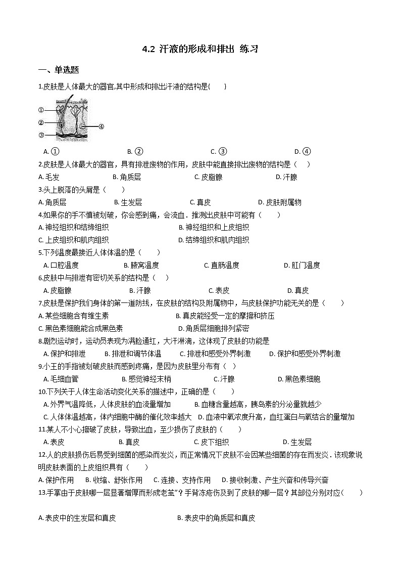 4.2 汗液的形成和排出（课件+教学设计+练习+学案）01