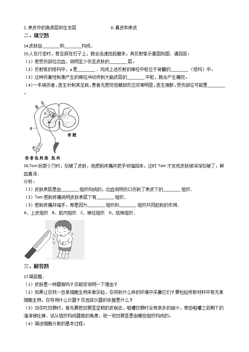 4.2 汗液的形成和排出（课件+教学设计+练习+学案）02