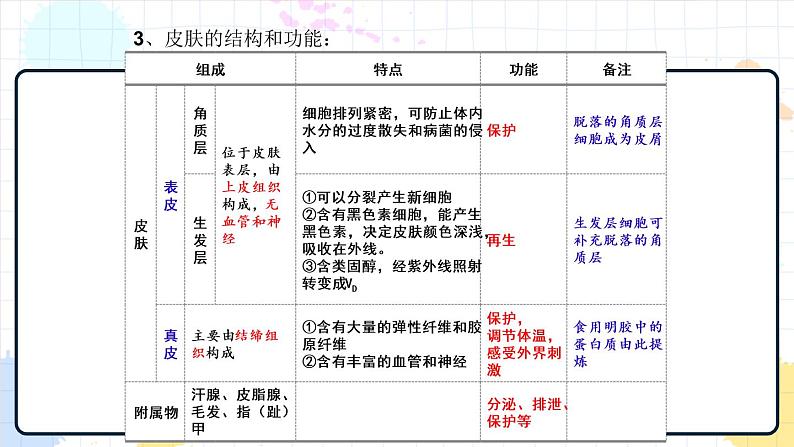 4.2 汗液的形成和排出（课件+教学设计+练习+学案）05