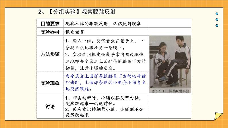 5.3 神经调节的基本方式（课件+教学设计+练习+学案）05