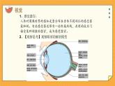 5.4 人体对周围世界的感知（课件+教学设计+练习+学案）