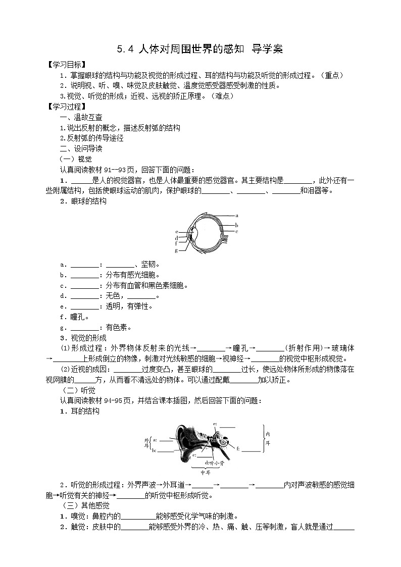 5.4 人体对周围世界的感知（课件+教学设计+练习+学案）01