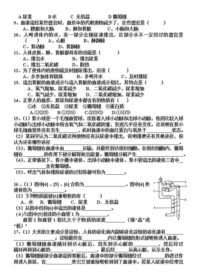 4.1 尿液的形成和排出（课件+教案+练习+学案）02