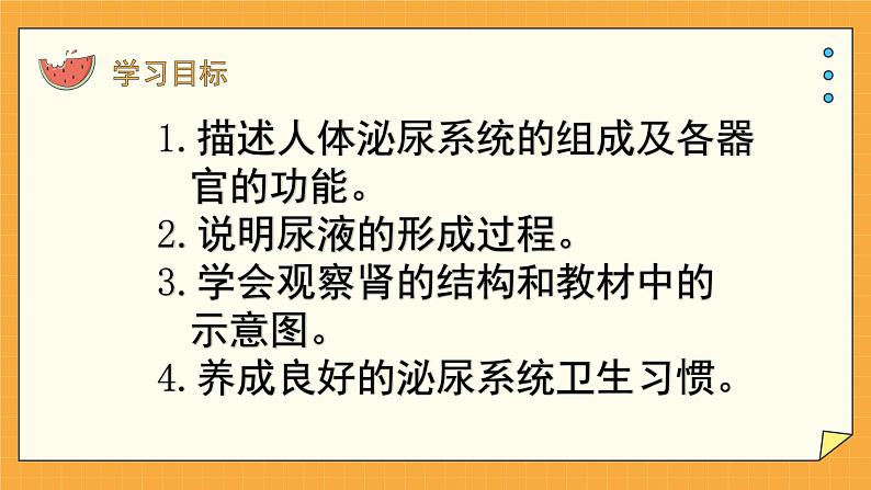 4.1 尿液的形成和排出（课件+教案+练习+学案）02