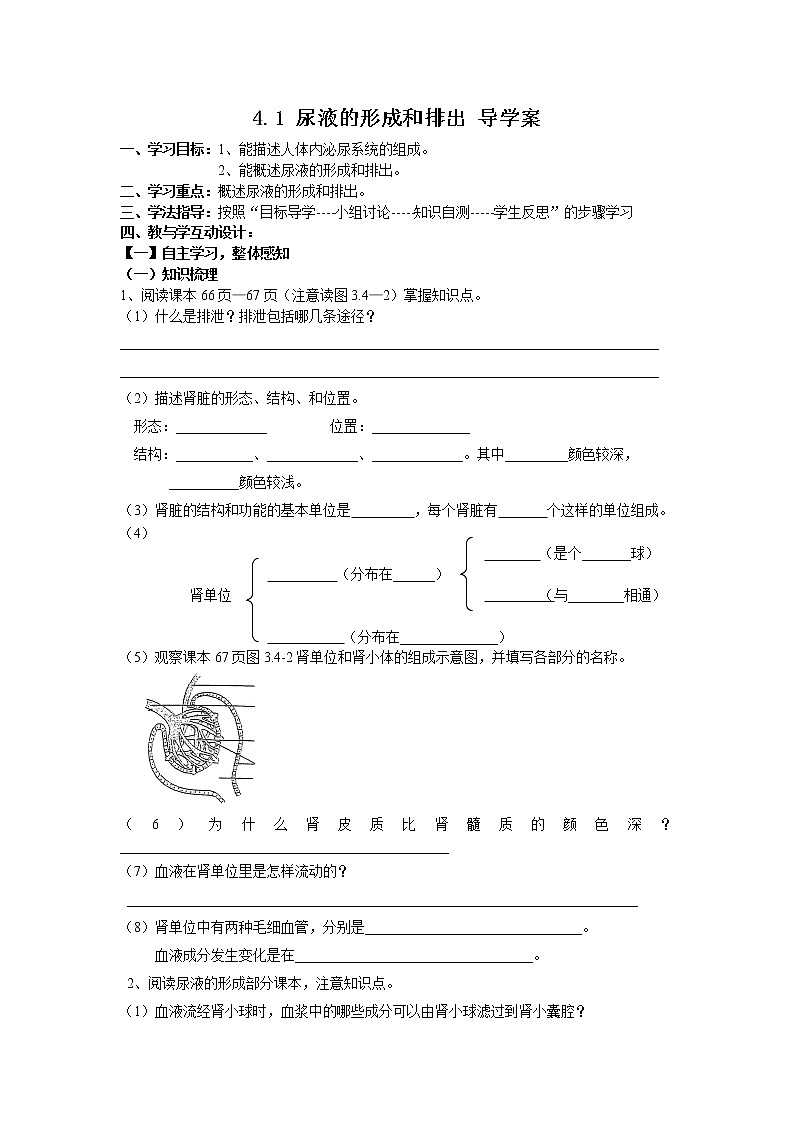 4.1 尿液的形成和排出（课件+教案+练习+学案）01