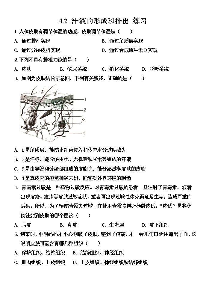 4.2 汗液的形成和排出（课件+教案+练习+学案）01