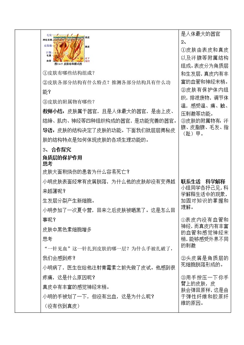 4.2 汗液的形成和排出（课件+教案+练习+学案）02