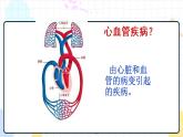 3.4 关注心血管健康（课件+教案+练习+学案）