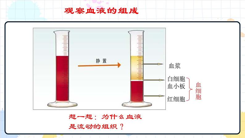 3.1 物质运输的载体（课件+教案+练习+学案）07