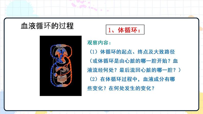 3.3 物质运输的途径（课件+教案+练习+学案）04