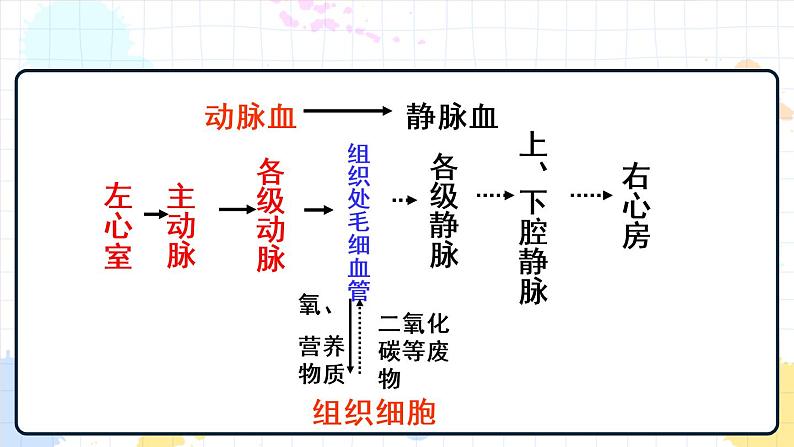 3.3 物质运输的途径（课件+教案+练习+学案）07