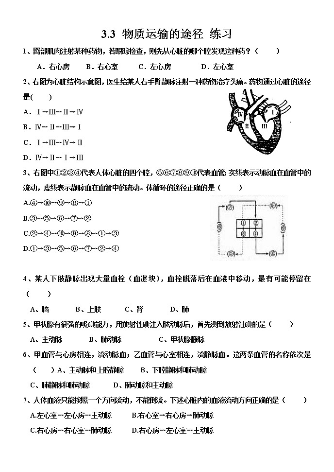 3.3 物质运输的途径（课件+教案+练习+学案）01