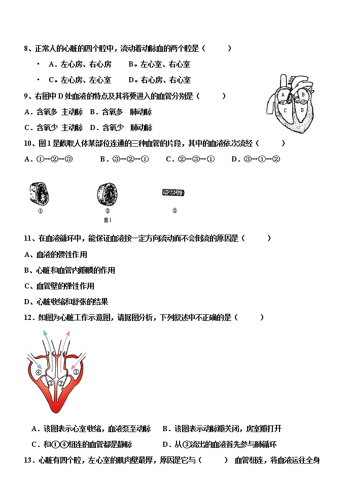 3.3 物质运输的途径（课件+教案+练习+学案）02