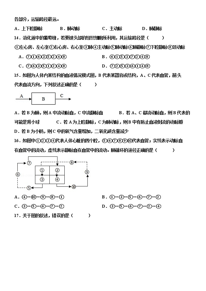 3.3 物质运输的途径（课件+教案+练习+学案）03
