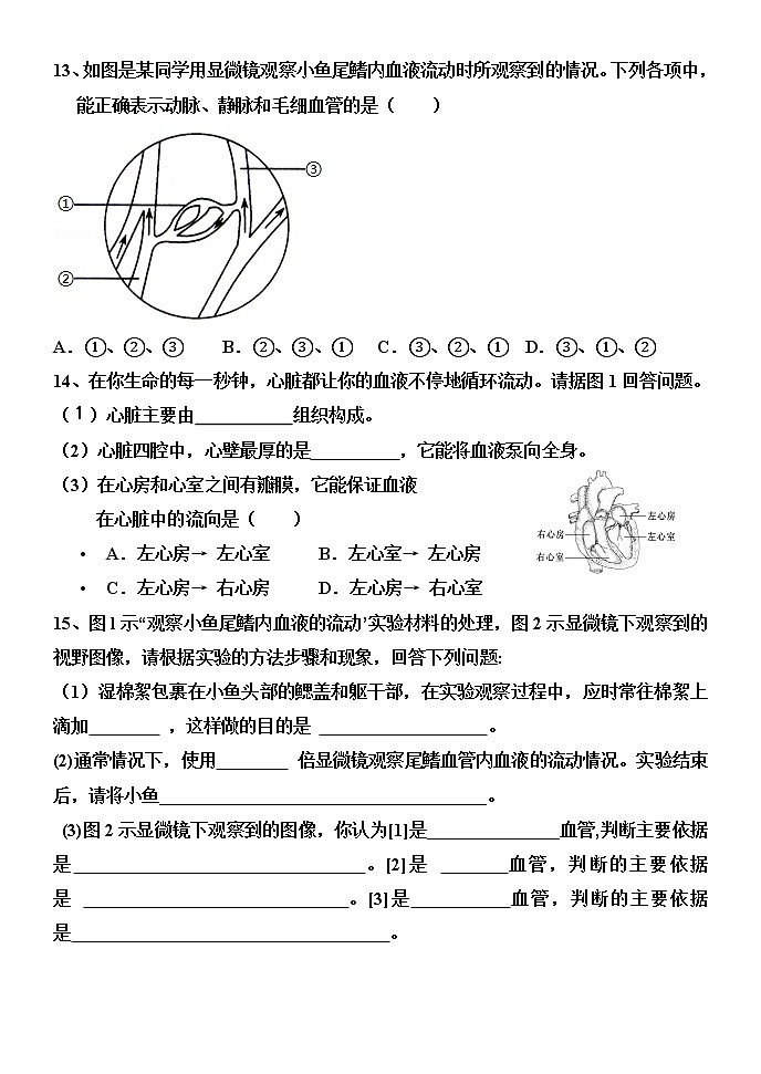3.2 物质运输的器官（课件+教案+练习+学案）03