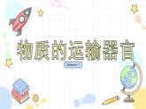 3.2 物质运输的器官（课件+教案+练习+学案）